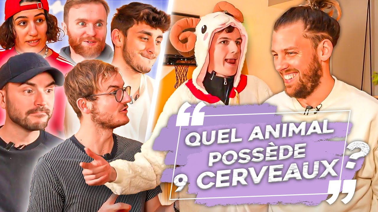 Qui a le plus de Culture Générale ? (2ème édition, mais attention, le niveau a augmenté !)