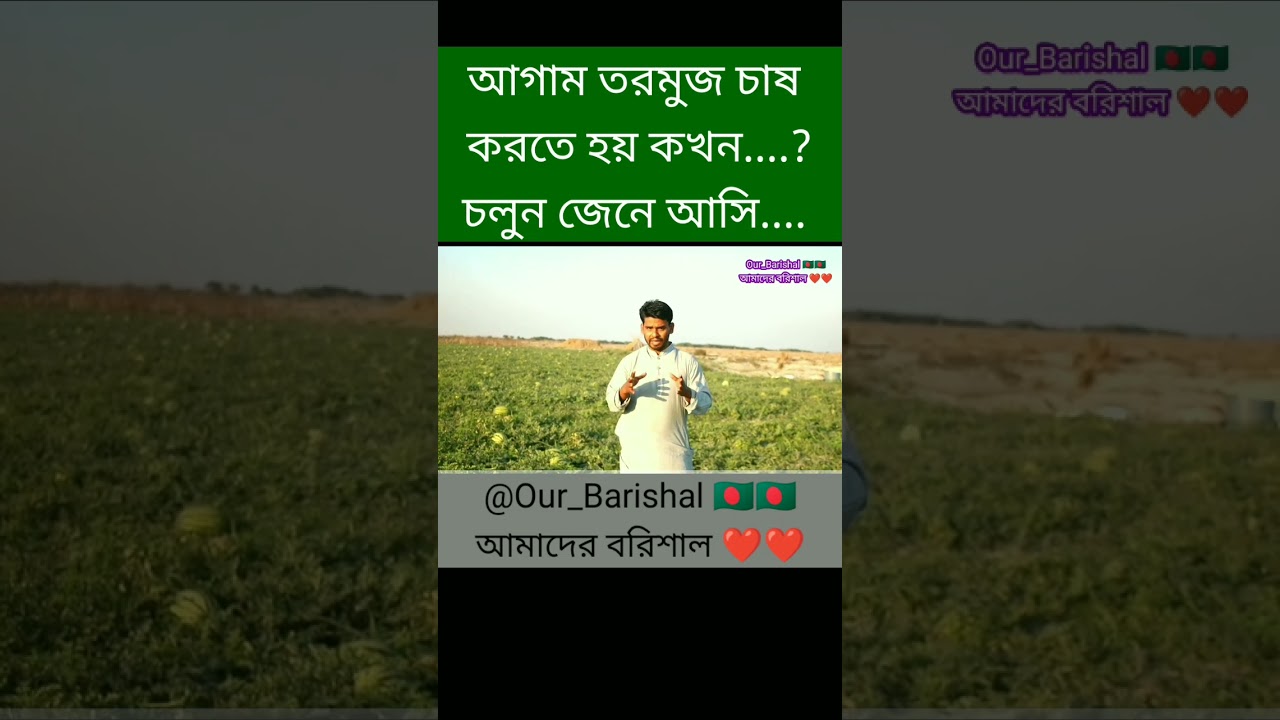 শীতকালীন তরমুজ চাষ পদ্ধতি তরমুজ কোন জেলায় বেশি হয় |