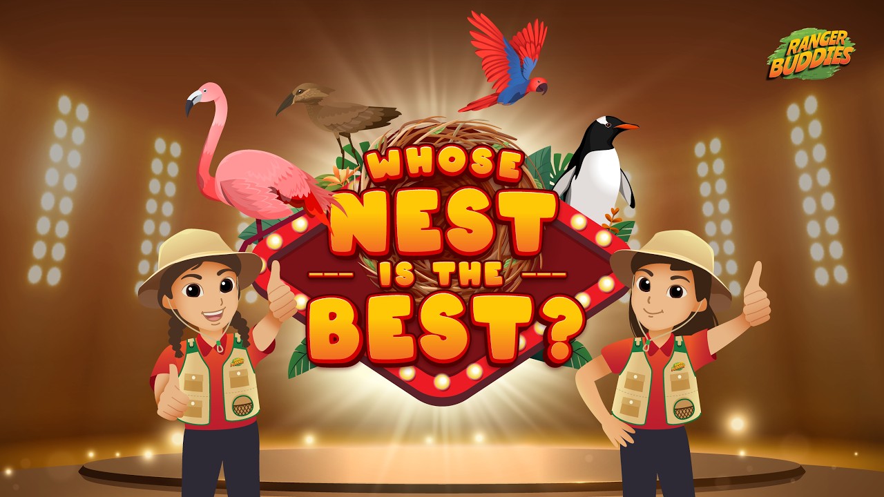 Ranger Buddies Virtual Show: Whose Nest is the Best?