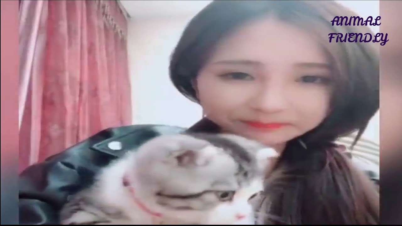 The best vines of tender cats - CAT COMPILATION