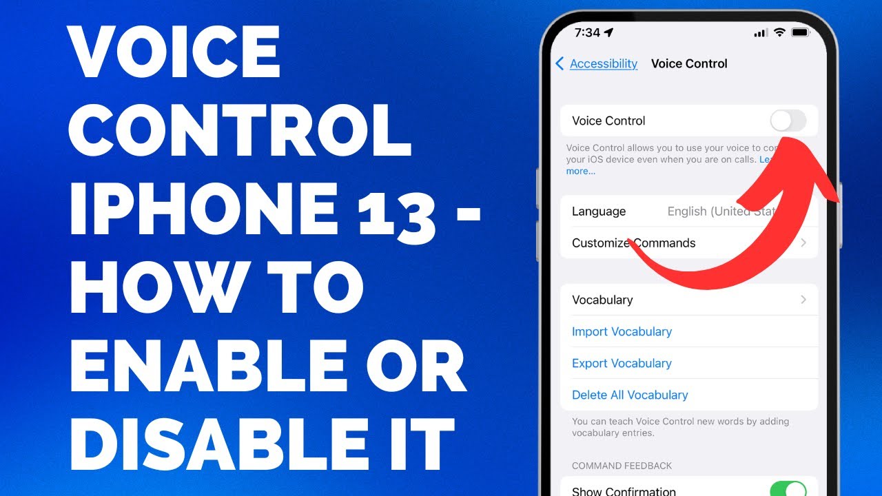 Voice Control iPhone 13 - How to Enable or Disable It