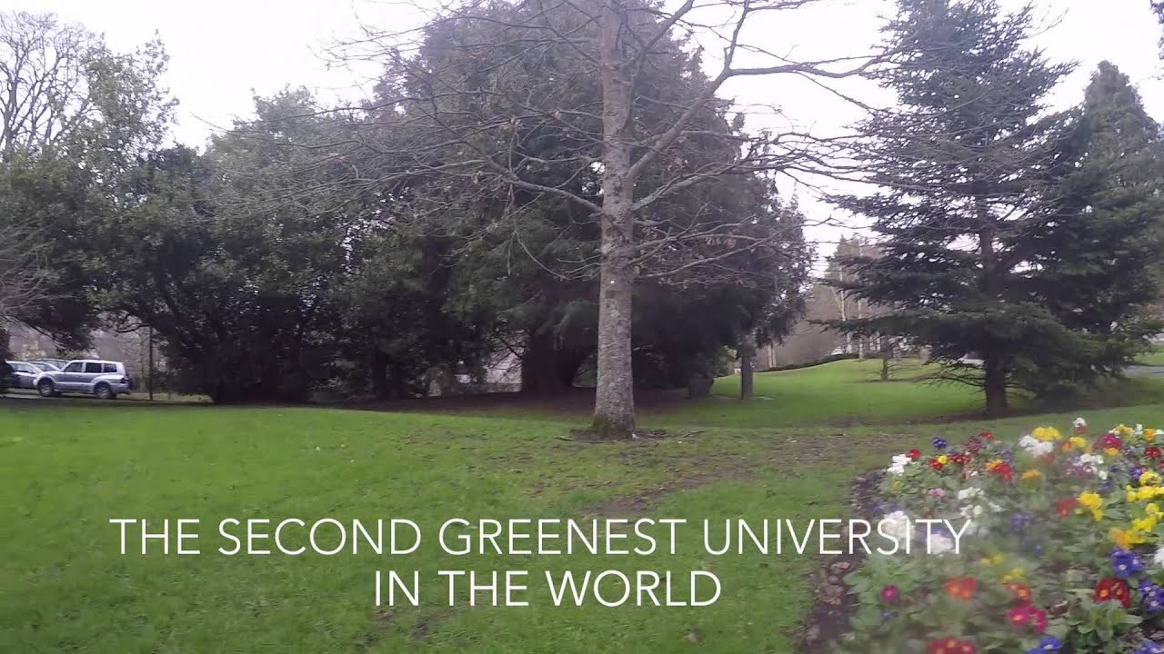 Lovely Year at UCC
