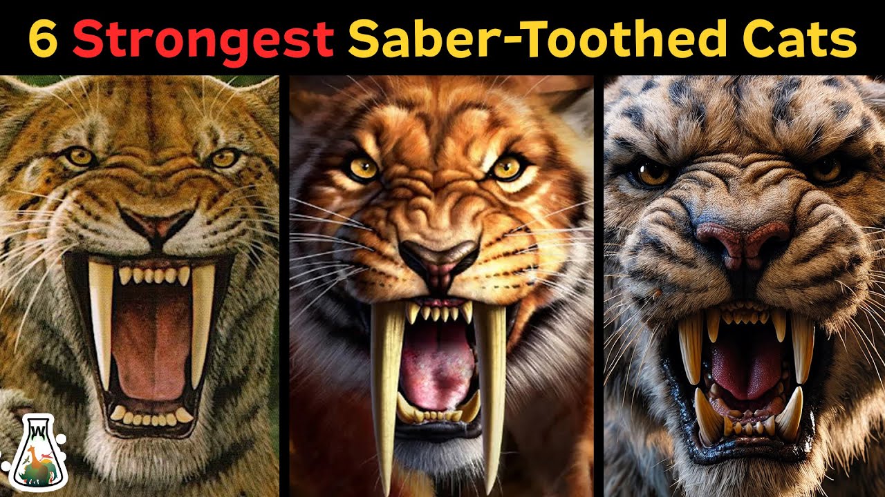6 самых сильных вымерших саблезубых кошек