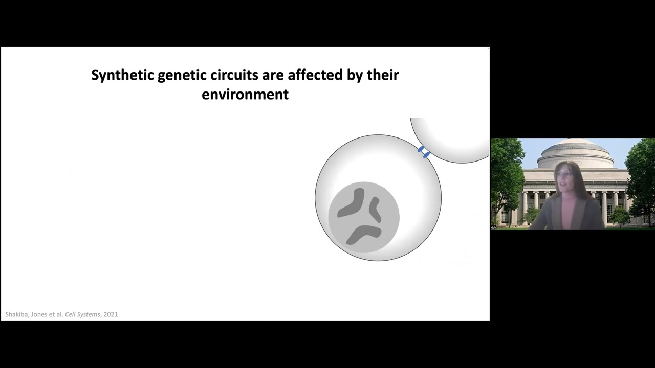 Domitilla Del Vecchio, Mammalian synthetic biology by controller design