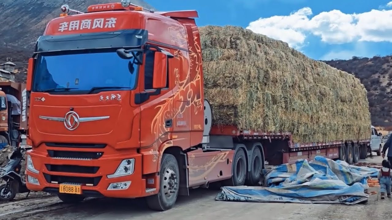 Hauler Heavy Duty Truck Transport Grass go City