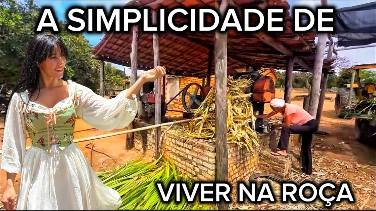 VIDA SIMPLES NA ROÇA - LUGAR DE MUITA LUTA MAS TAMBÉM DE MUITA PAZ E FARTURA.FOMOS NO SÍTIO VIZINHO!