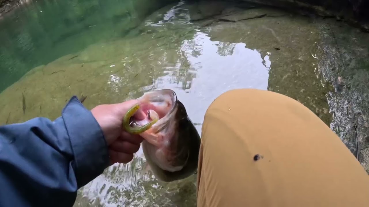 Bank Fishing Lake Jocassee While At Devils Fork State Park Camping