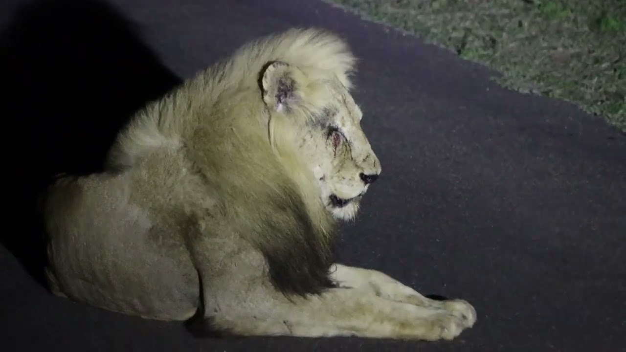 Mbiri Males: Shaka & Zig Zag in bad shape!
