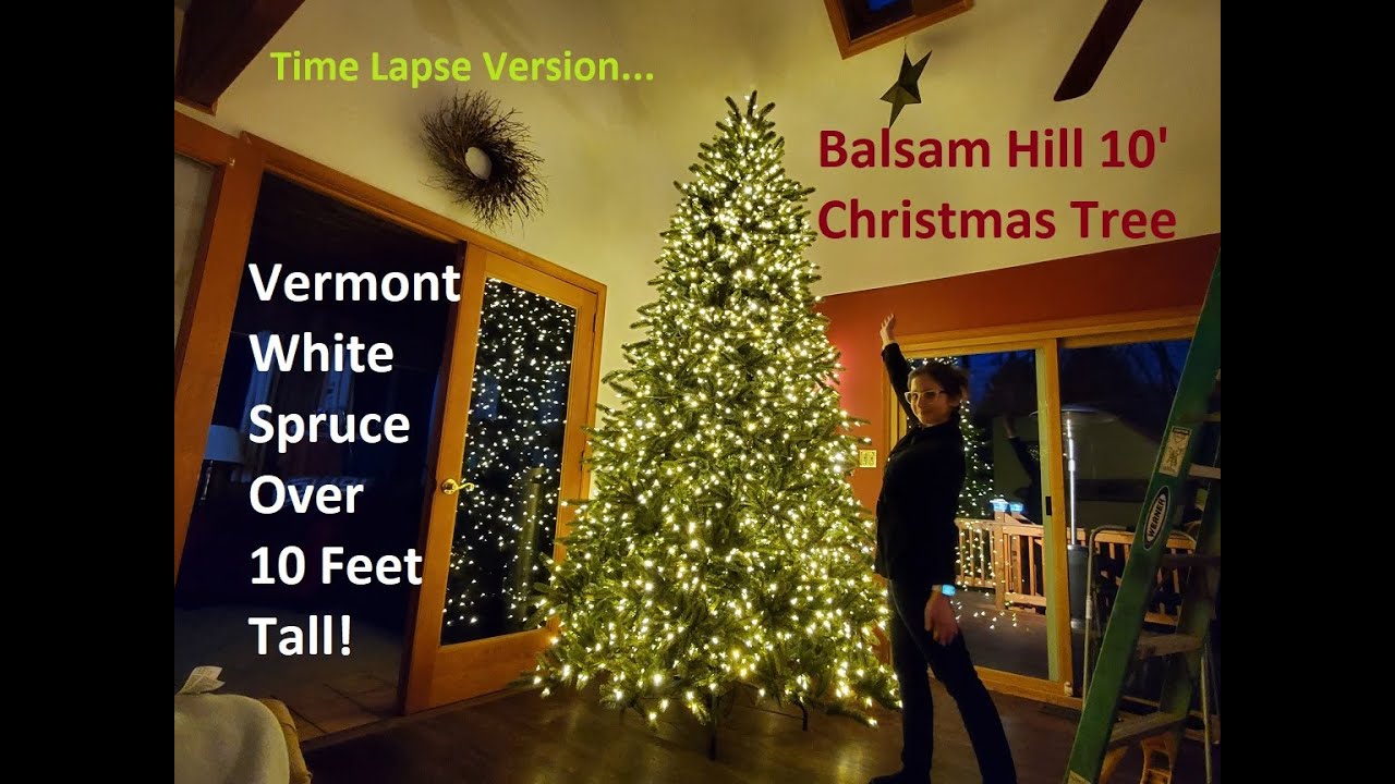 10' Balsam Hill Christmas Tree Time Lapse
