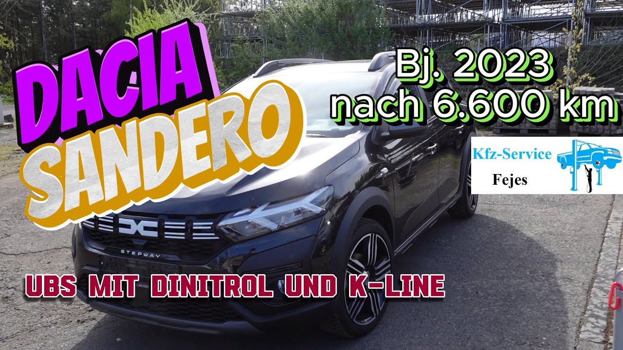 Dacia Sandero nach 6 600 km