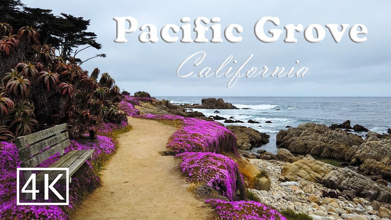 [4K] Pacific Grove - California USA -  Coastal Walking Tour