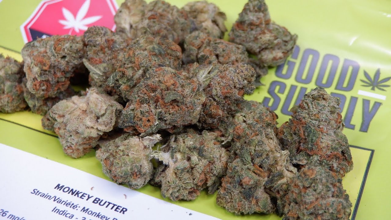 Strain Review Monkey Butter By Good Supply