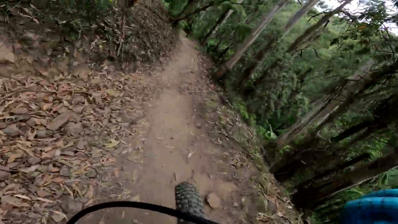 Warby mtb zinglefun
