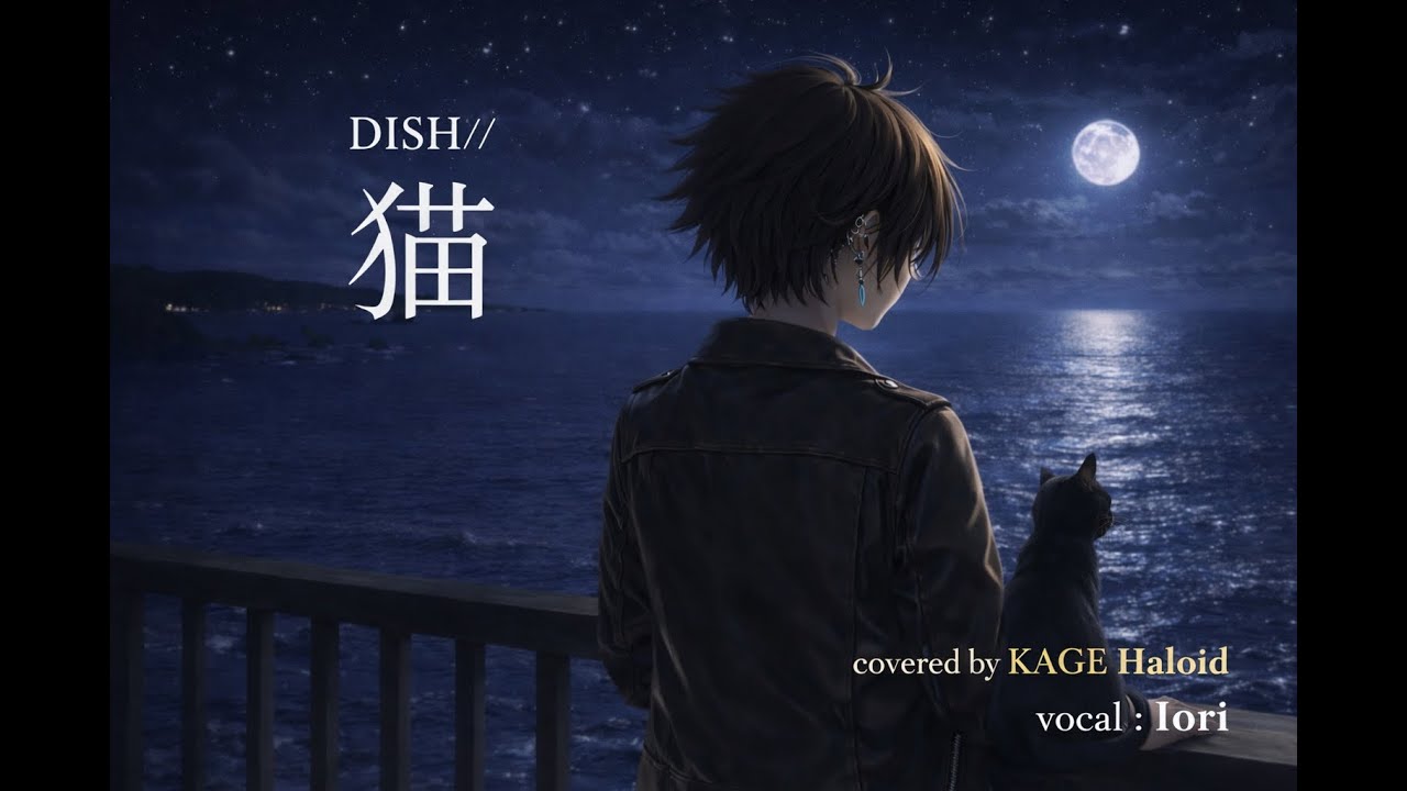 猫/DISH //(Cover)