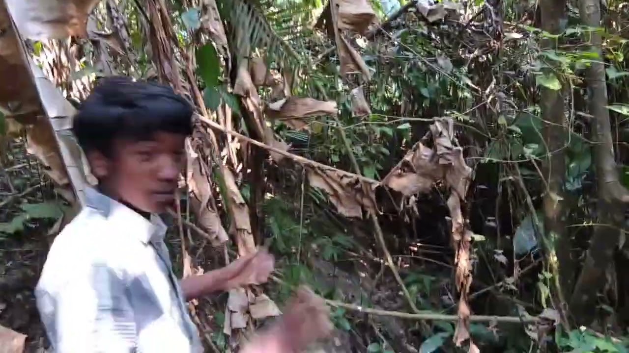 || My first vlog ♥️😁 || In the jungle shoot #blog #jungle #videos #junglevegetables #nature #viral 
