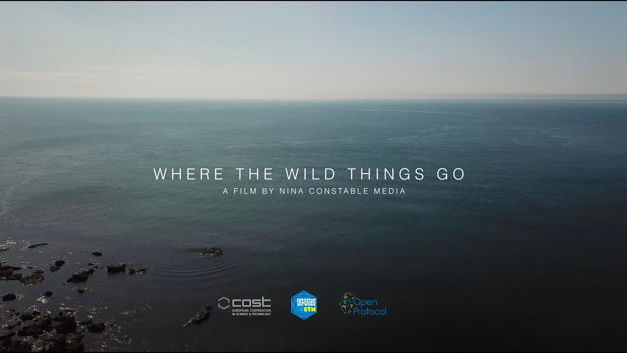 WHERE THE WILD THINGS GO