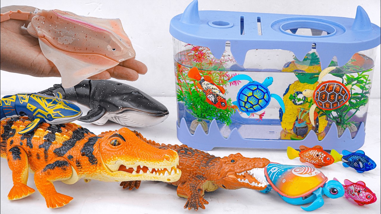 [Toy asmr] RC Shark & Crocodile &RC Ray &Mosasaurus &Turtle & Aquarium ASMR Satisfying with Unboxing
