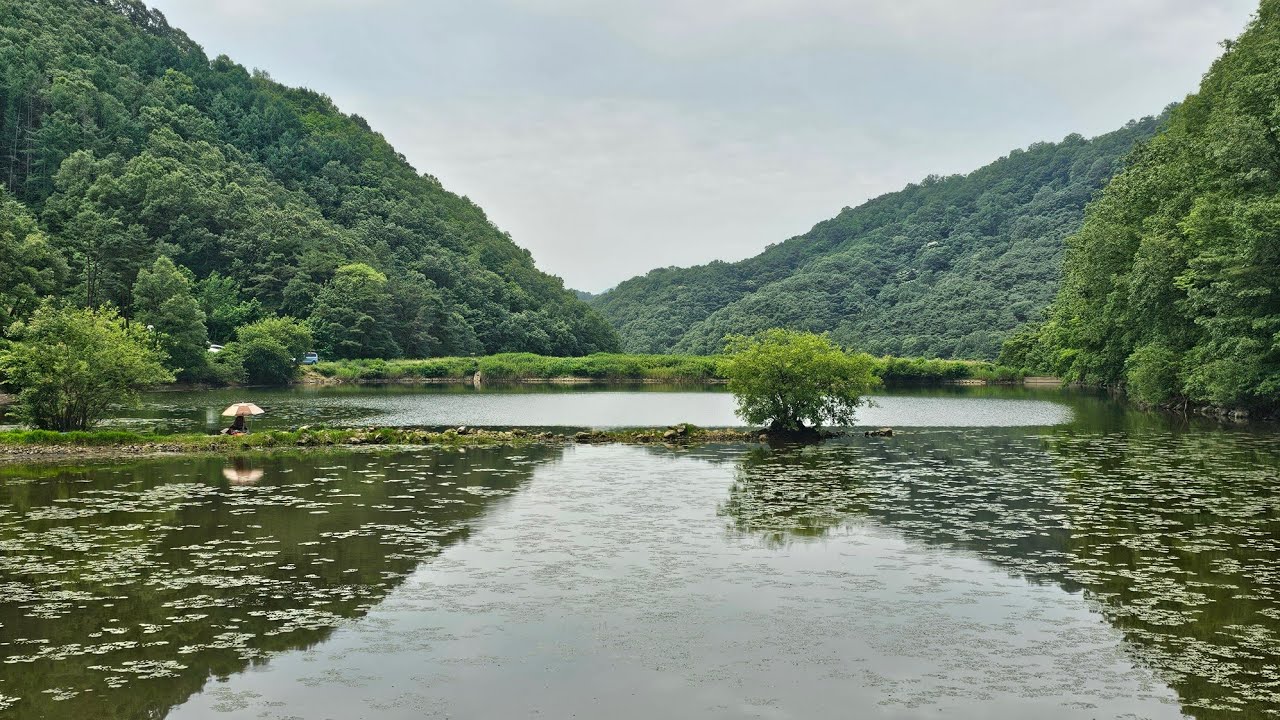 경산권 소류지정보, 용성 신제지,5짜 붕어터 계곡지,새물유입찬스,새물유입 대박저수지