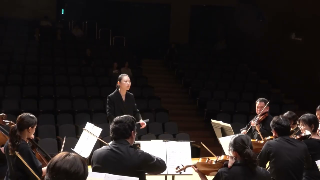 Beethoven Symphony no. 7 1st