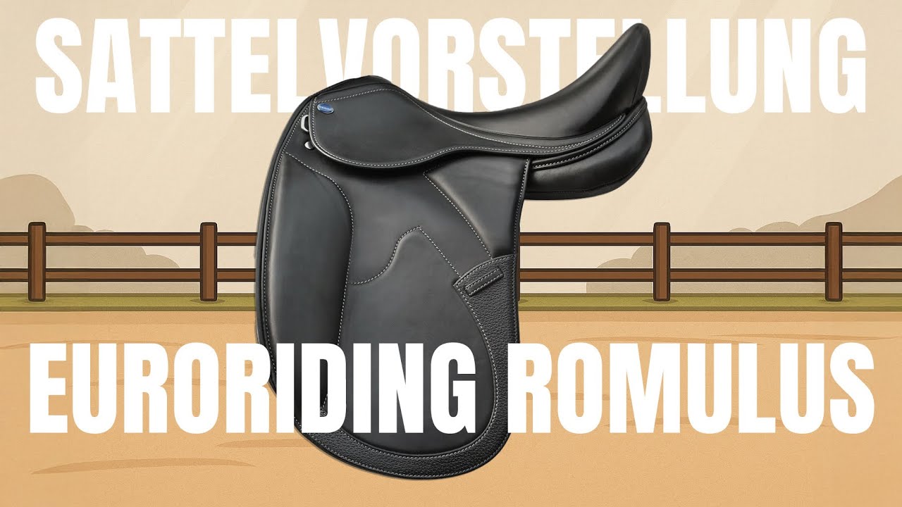 Sattelvorstellung Euroriding Romulus Dressur | Reitsport-Rheinmain