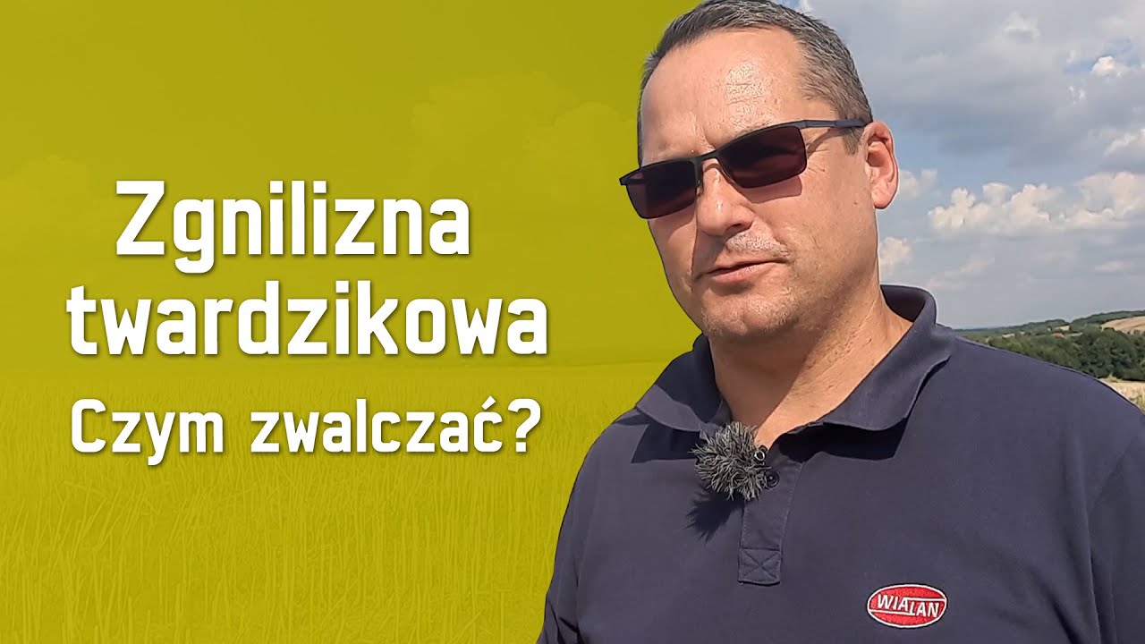 Zgnilizna twardzikowa. Czym zwalczać?