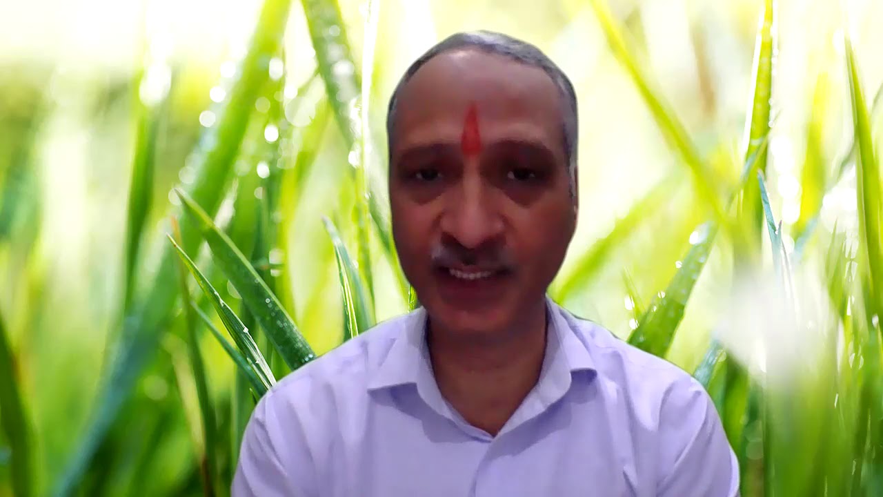 आत्मकारक - बुध