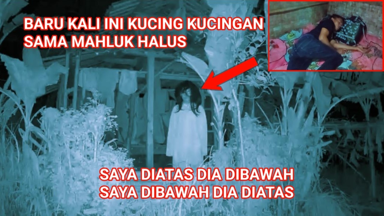 CAMPING HOROR BARU KALI INI SAMPAI KUCING KUCINGAN SAMA MAHLUK HALUS