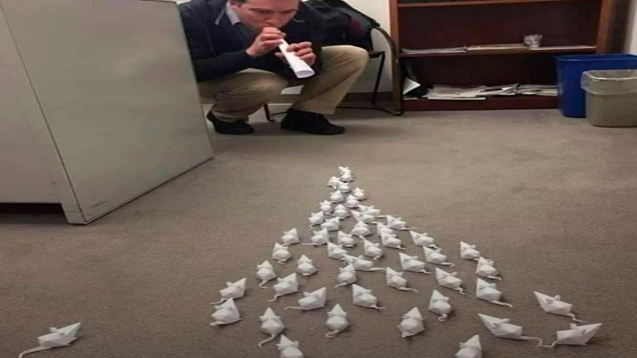 Если не смеешься, не побеждаешь