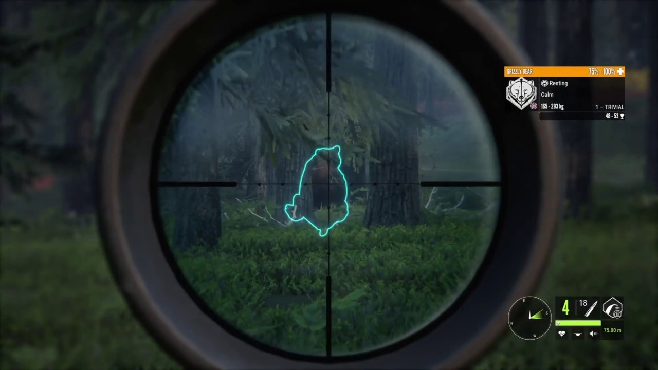 Grizzly Bear Hunting with the .300 Canning Magnum | theHunter: COTW