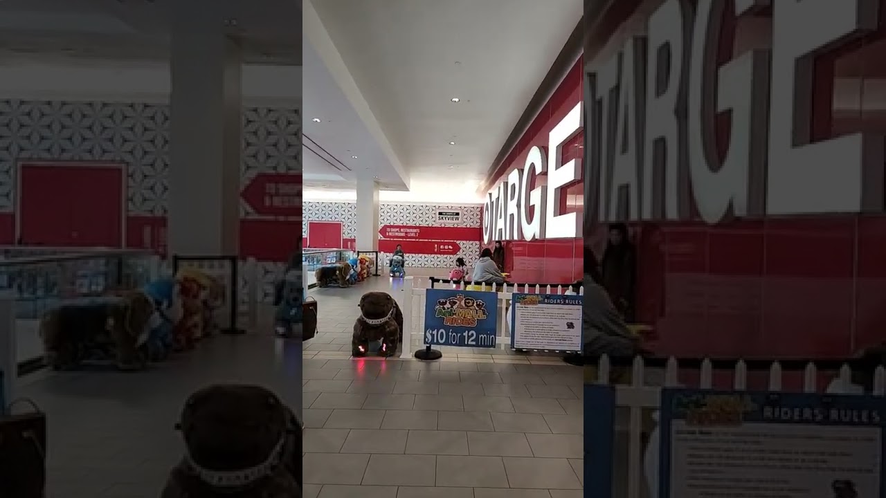 Animal rides at the mall in NYC.