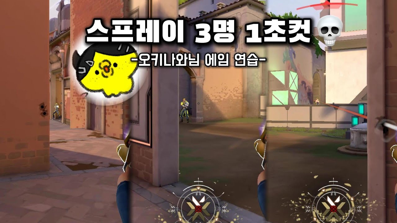 오키나와님 에임 따라하기 [발로란트]