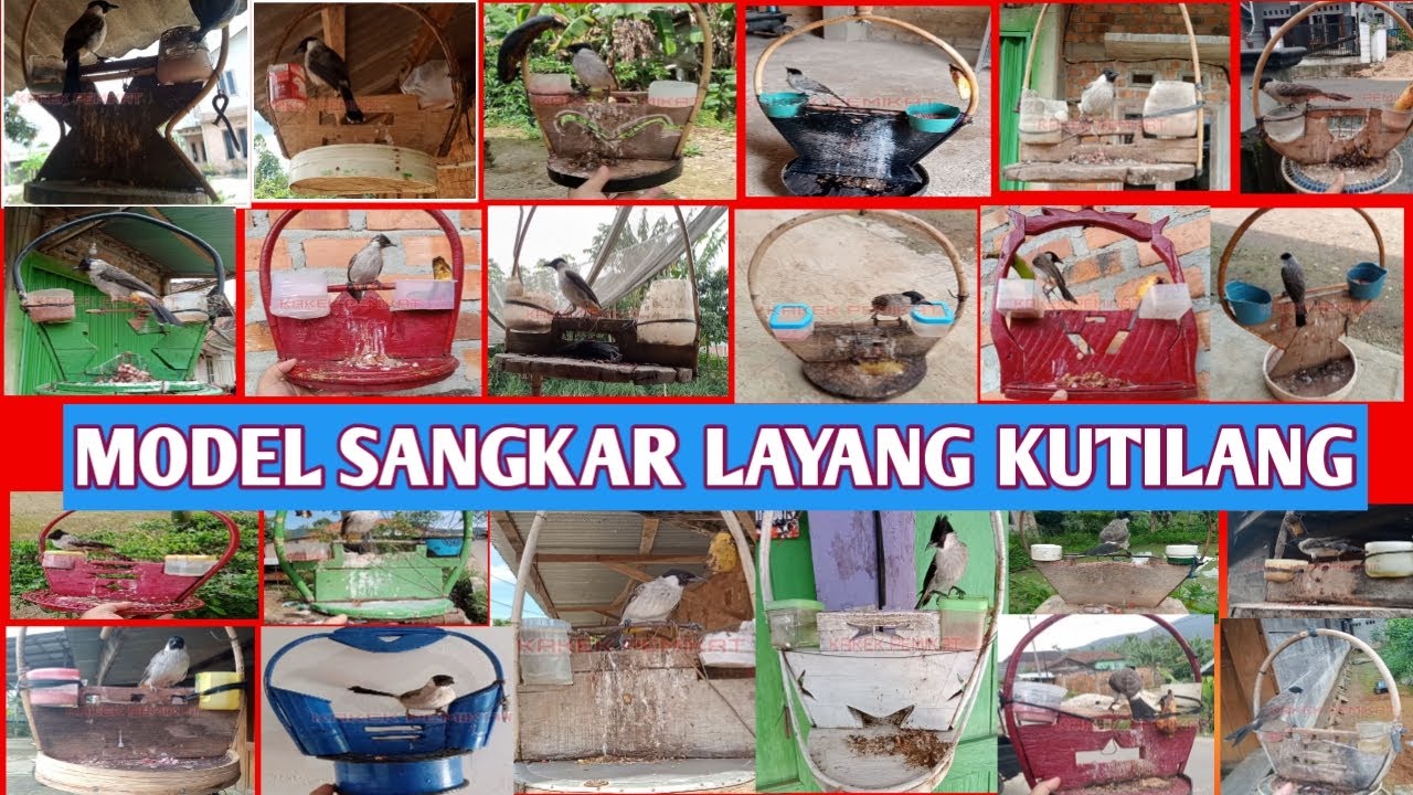 Model Sangkar Layang Kutilang