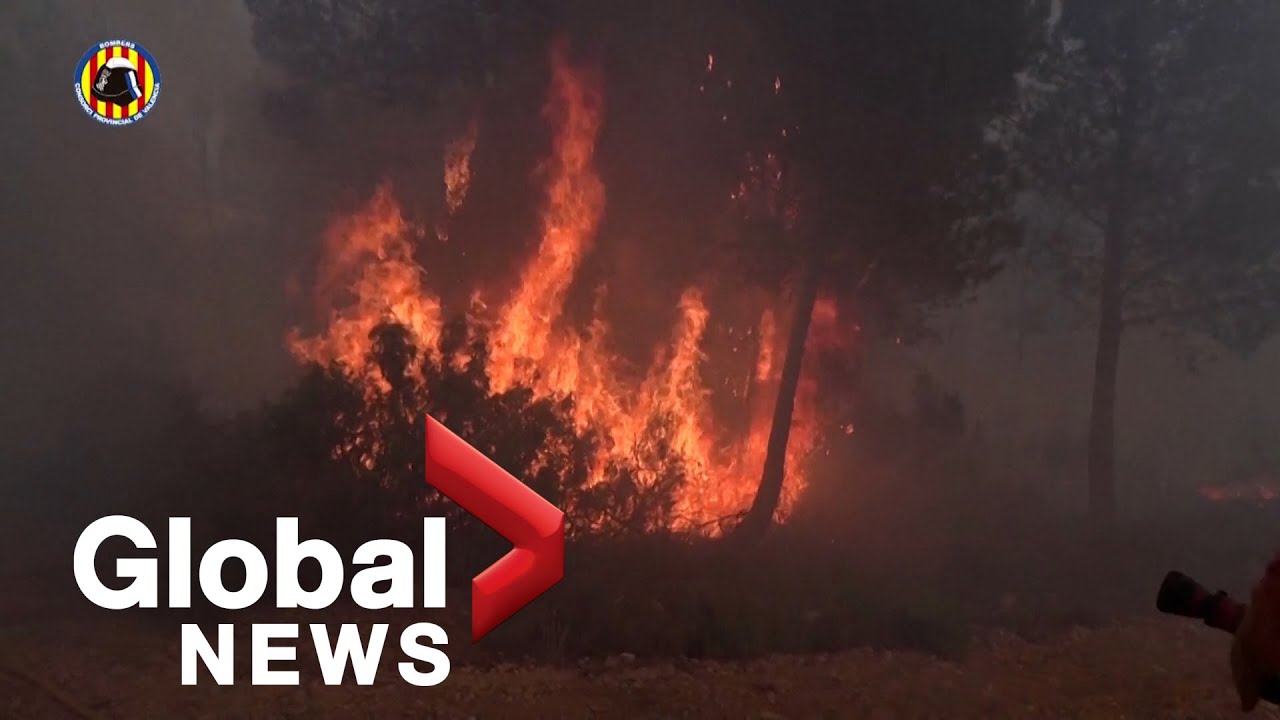 Spanish fire crews fight raging wildfire in Valencia