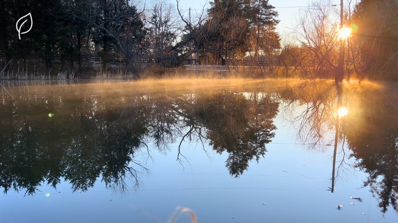 Misty Lake | Music for Meditation, Sleep, and Studying