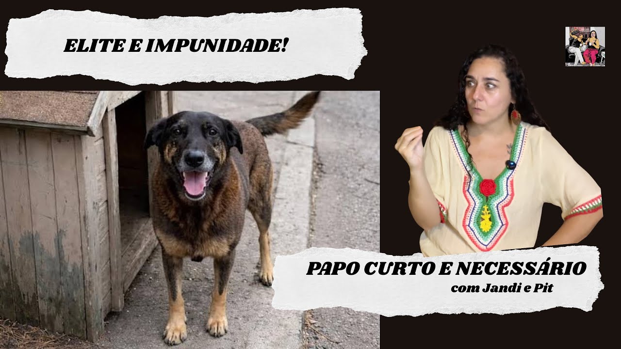 Elite e impunidade: caso “Orelha”