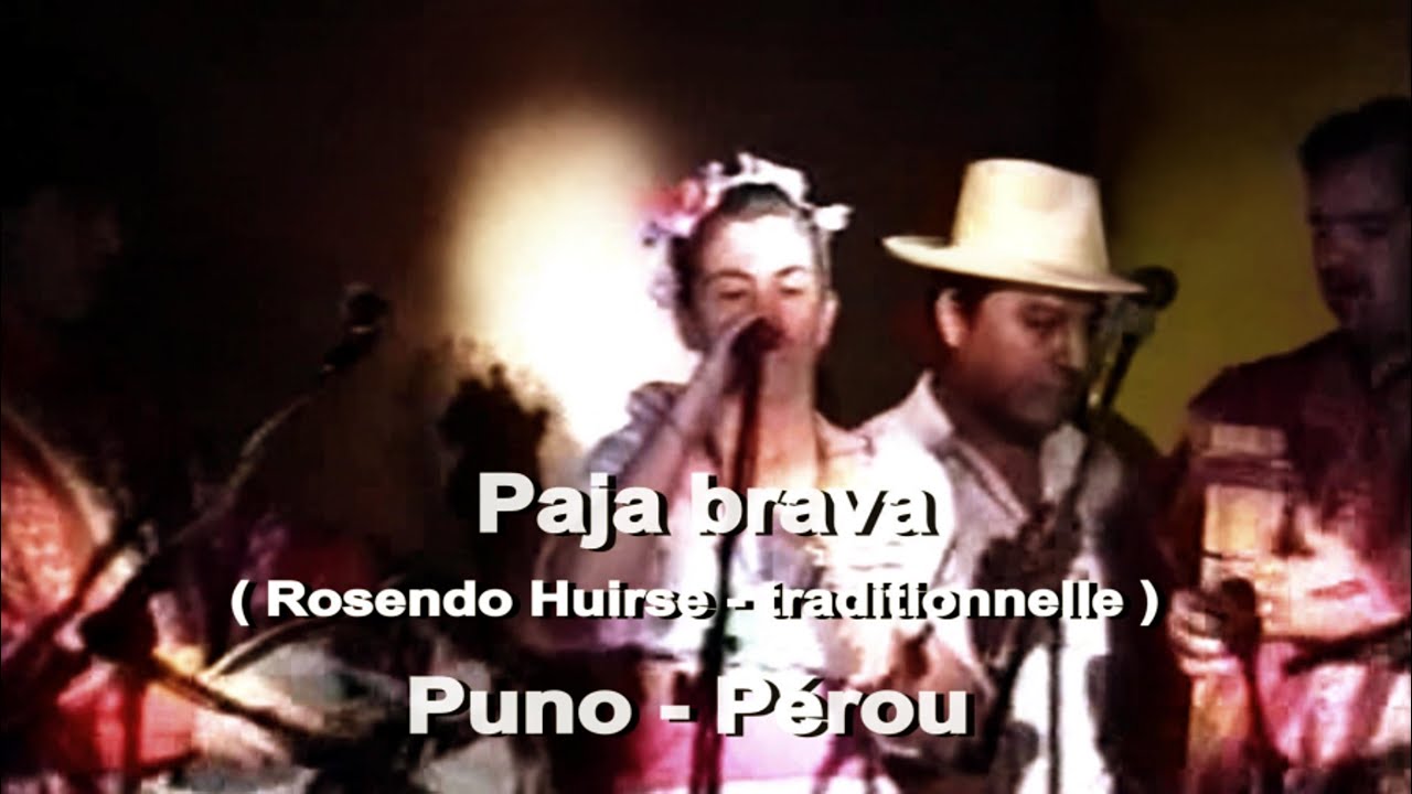 FIESTA INCA :  PAJA BRAVA