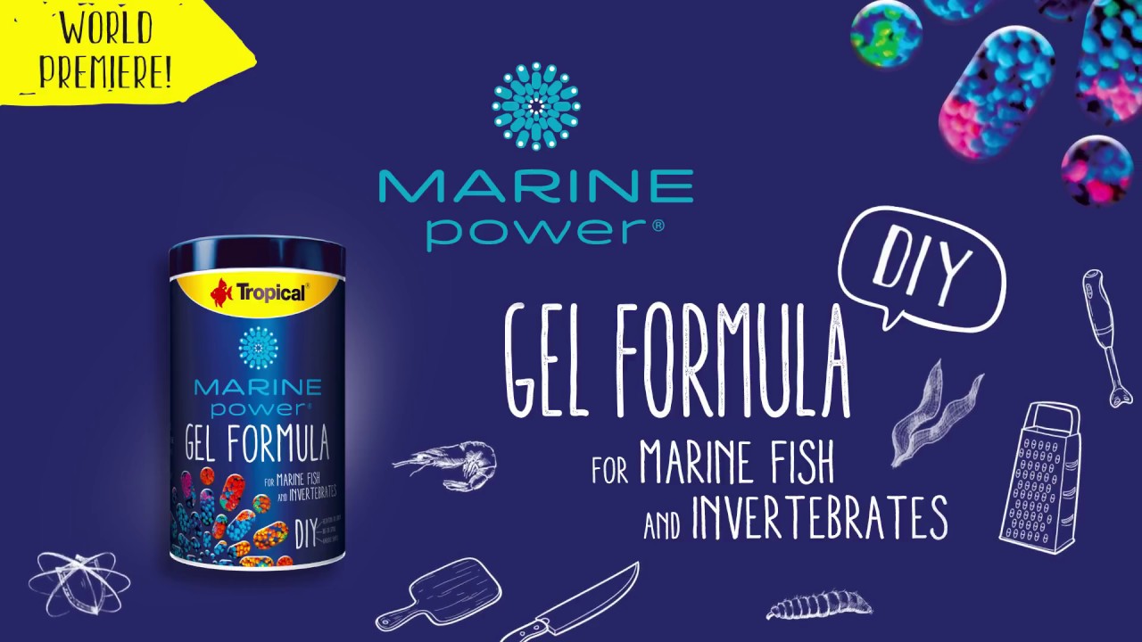 MARINE POWER GEL FORMULA – food in the form of DIY gel for marine fish and invertebrates