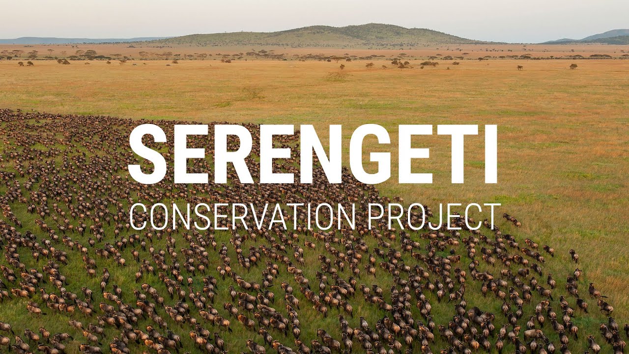 Serengeti Conservation Project - Frankfurt Zoological Society