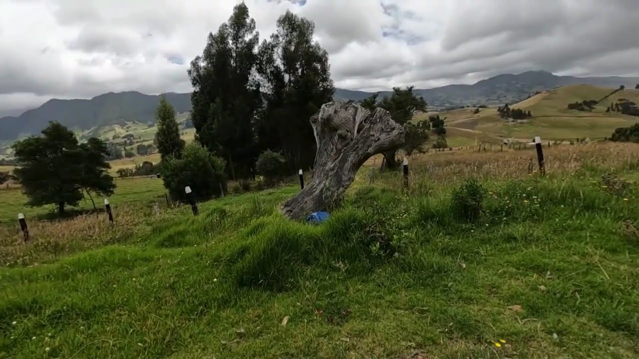 Venta Lote Yerbabuena, Vda. El Hato, Municipio Carmen De Carupa (cun).