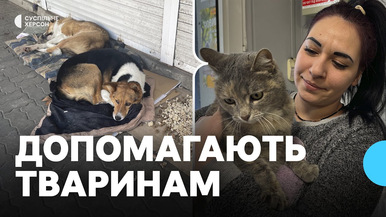 Як жителі Херсона допомагають вуличним тваринам пережити морози