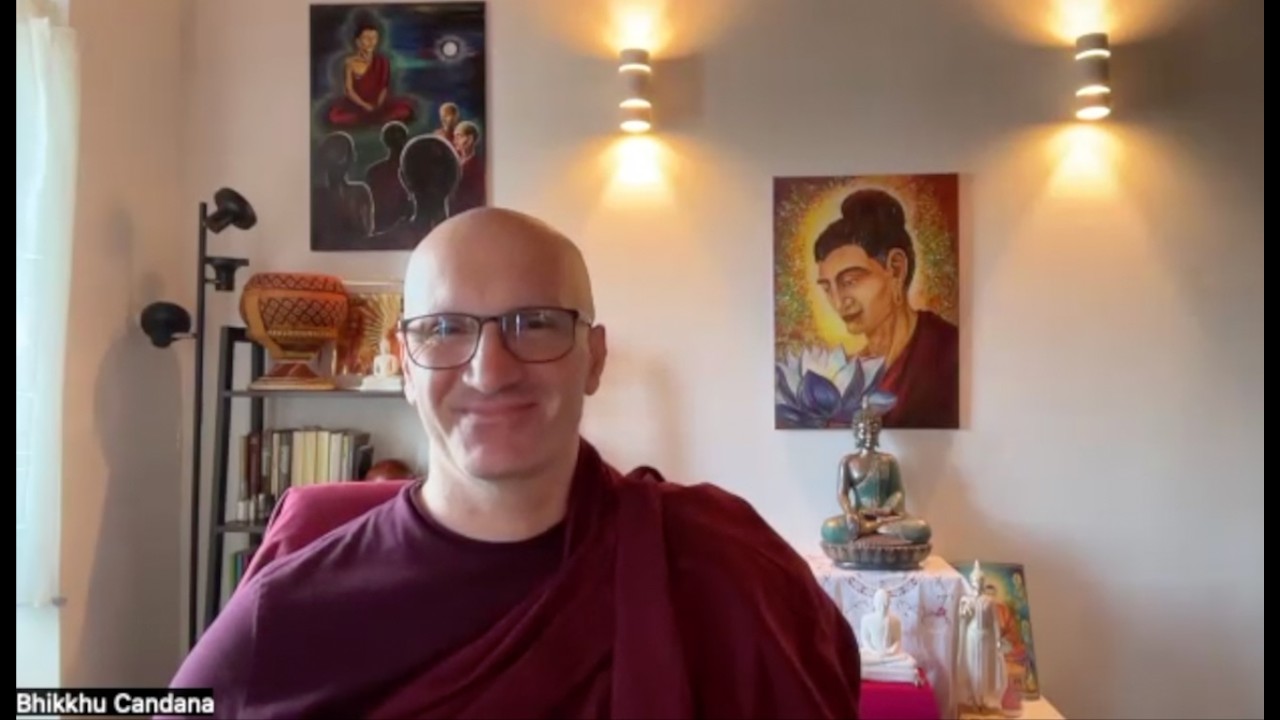 Week 171 - Paṭhama Hāliddikāni Sutta: 