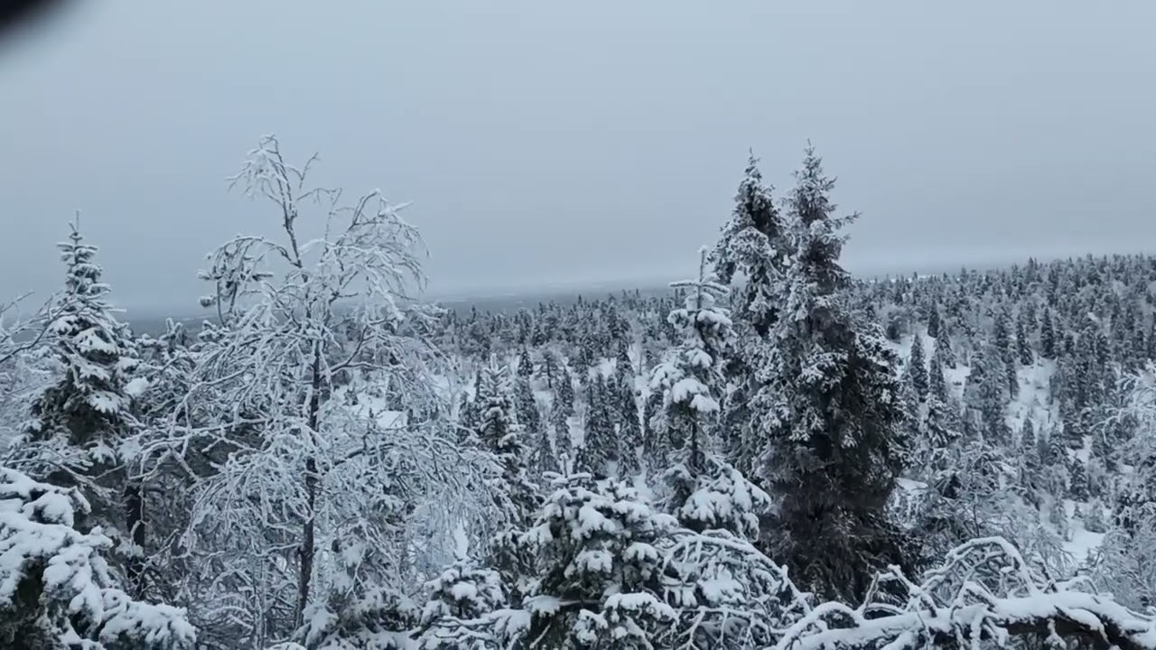 Valtavaara (Ruka-Kuusamo) December 2025 🇫🇮