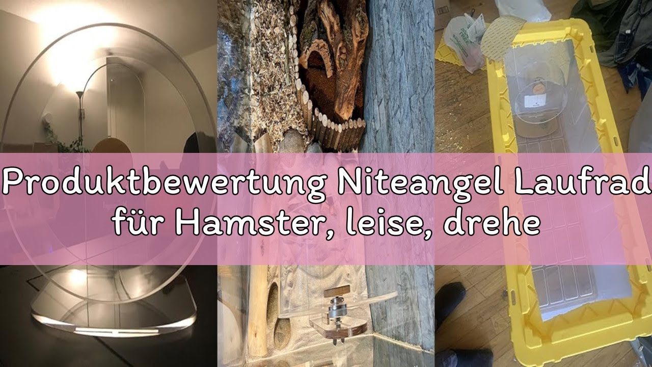 Produktbewertung Niteangel Laufrad für Hamster, leise, drehende Acryl-Hamsterlaufräder für Hamster,