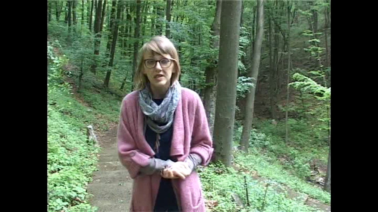 TODORCI - Običaji Zvižda i Homolja