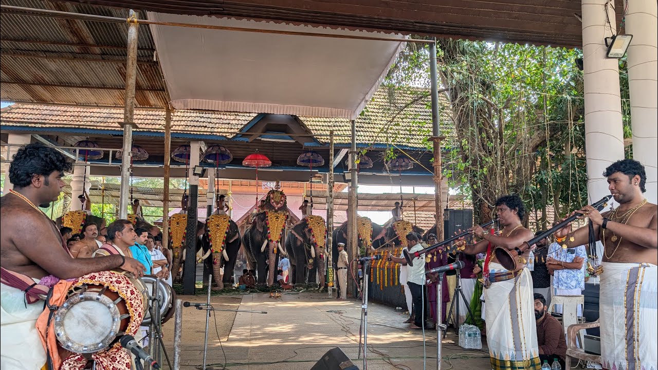 Nagumomu ganale - Aberi- Yazhpanam PS Balamurugan and PSB Sarang