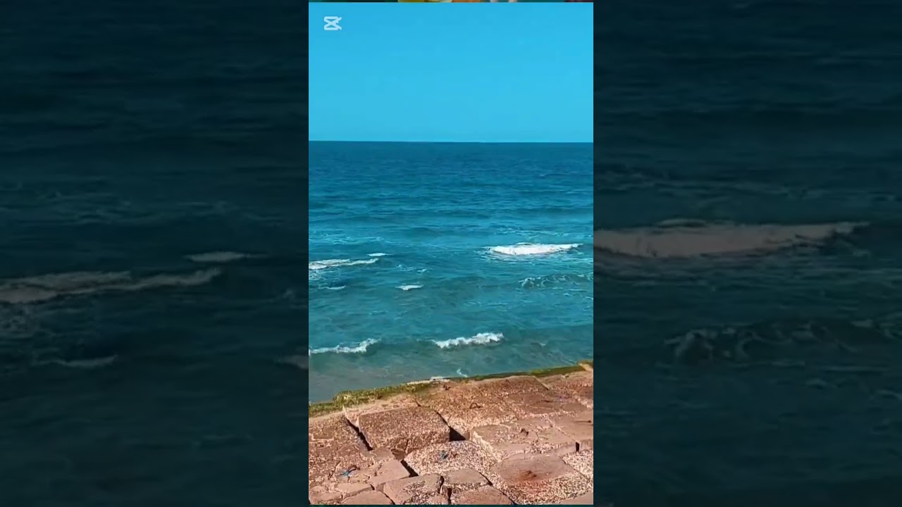 جرح المشاعر جريمة بلا عقاب..