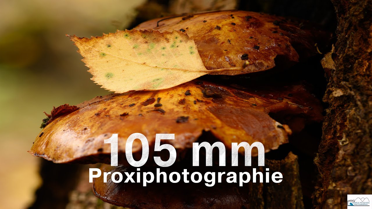 Comment faire de la proxi photo ... de paysage?