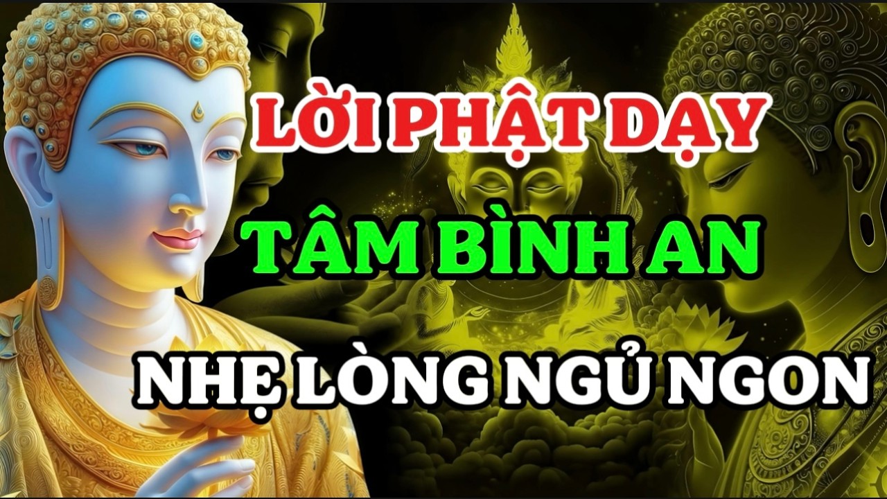 LỜI PHẬT DẠY | Ai Làm Mặc Kệ Ai Giúp Tâm An Giữa Đời Nhiễu Nhương