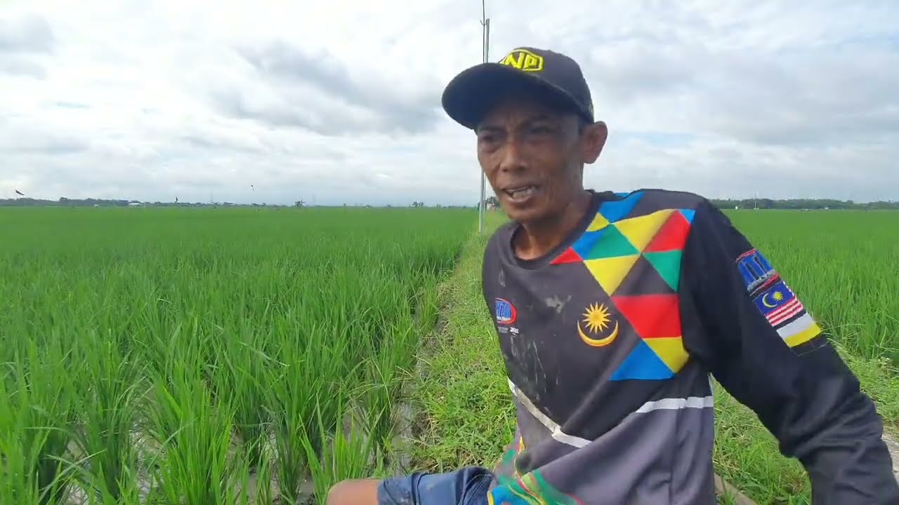 RUNG SIDO POSO DINO IKI..MOHON MAAF LAHIR BATHIN LUURR ‼️‼️