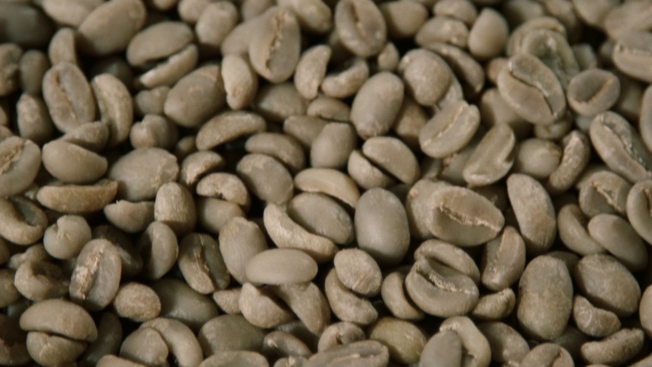 Coffee: Ethiopia Washed Sidamo Top Gr 2 - Sandalj Traceability Project